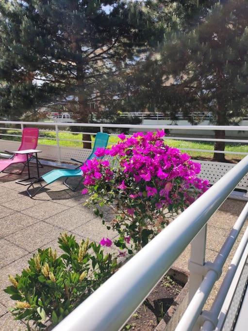 Comme Chez Vous Daire Strazburg Dış mekan fotoğraf